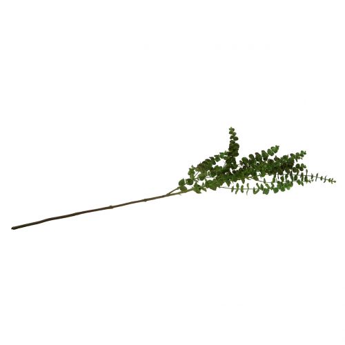 Article Branche d'eucalyptus verte 130cm
