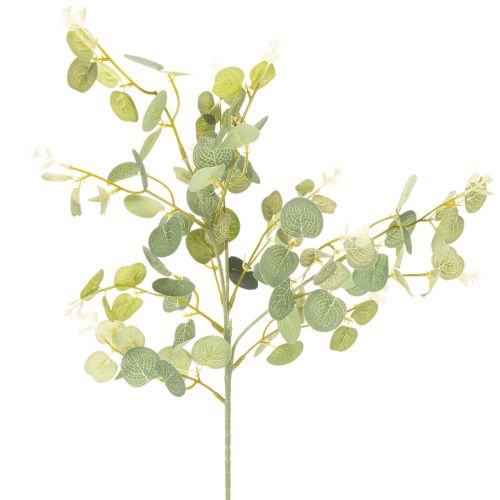 Branche d'eucalyptus artificielle à feuilles rondes, 75 cm, lot de 4 acheter | Floristik24.be