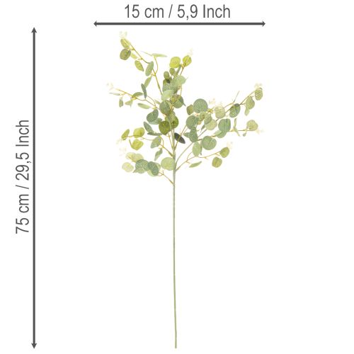 Branche d'eucalyptus artificielle à feuilles rondes, 75 cm, lot de 4 | Floristik24.be