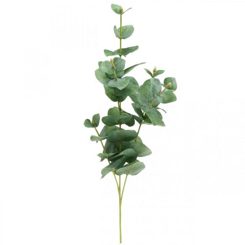 Floristik24 Branche d'Eucalyptus Plante Verte Artificielle Eucalyptus Deco 75cm