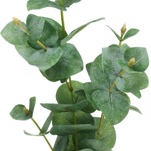 Floristik24 Branche d'Eucalyptus Plante Verte Artificielle Eucalyptus Deco 75cm