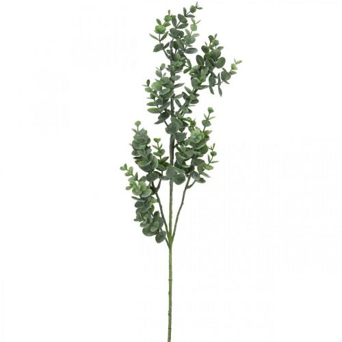 Floristik24 Déco branche d'eucalyptus branche d'eucalyptus artificielle 75cm