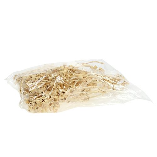 Article Branche d&#39;eucalyptus blanchie 25pcs