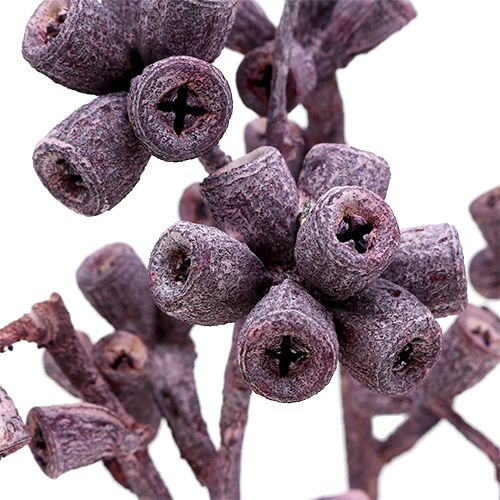 Article Branche d'eucalyptus Couleur mûre givré 17-35cm 25 pcs