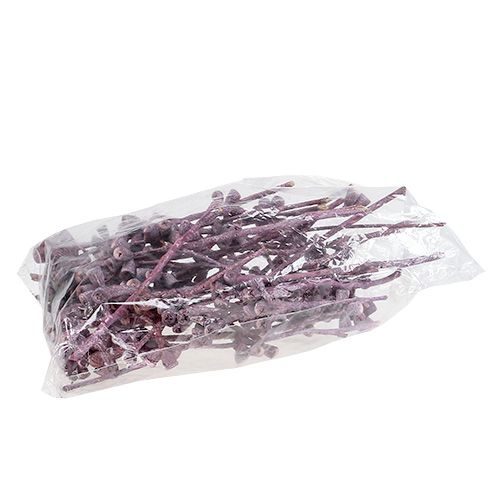 Article Branche d'eucalyptus Couleur mûre givré 17-35cm 25 pcs