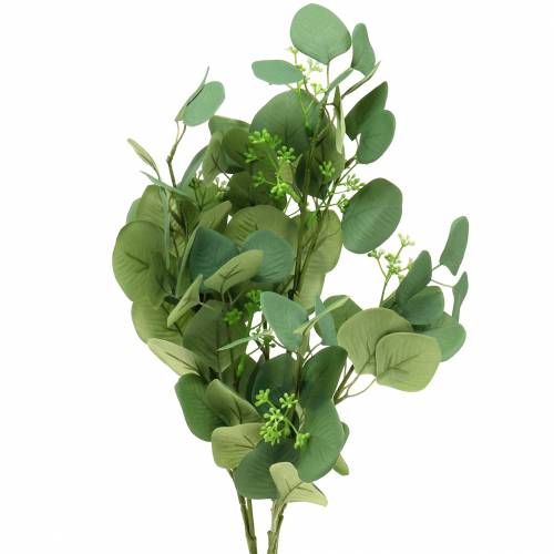 Floristik24 Branche d'eucalyptus 52cm