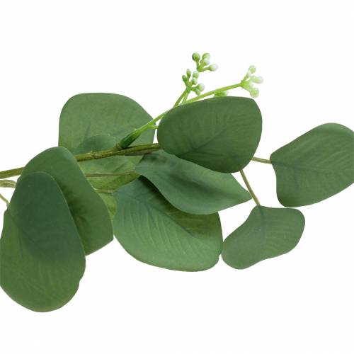 Floristik24 Branche d'eucalyptus 52cm