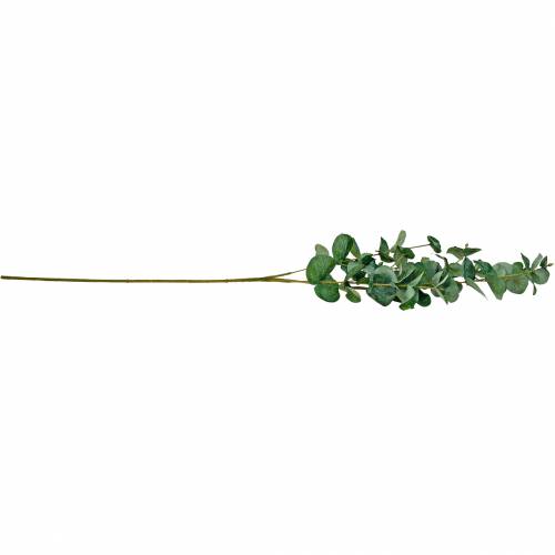 Article Branche d&#39;eucalyptus Branche d&#39;eucalyptus artificielle