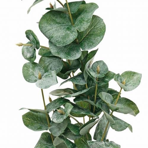 Article Branche d&#39;eucalyptus Branche d&#39;eucalyptus artificielle
