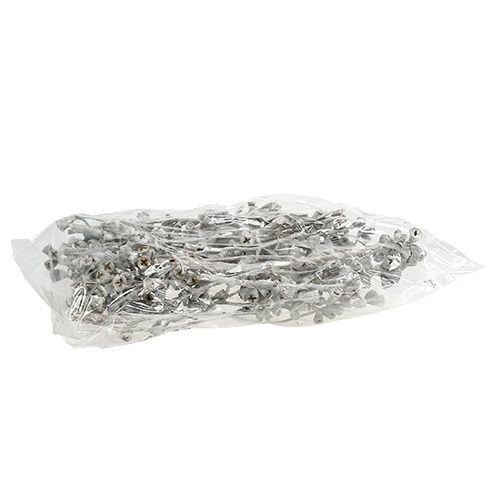 Article Branches d'eucalyptus naturelles exotiques blanchies 25pcs