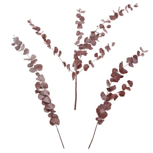 Article Branches d'eucalyptus, eucalyptus stabilisé, fleurs séchées, rouge, 75 cm, 150 g