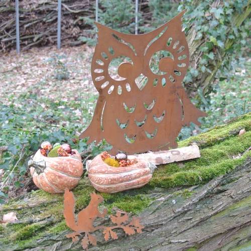 Floristik24 Chouette patine sur tronc de bouleau 42cm x 36cm