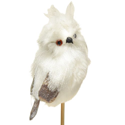 Article Chouette sur la canne blanche 9cm L48cm