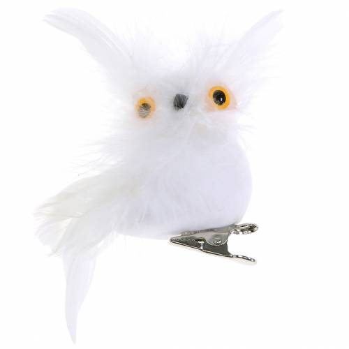 Floristik24 Chouette déco sur clip blanc 10cm 4pcs