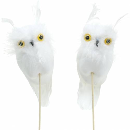 Floristik24 Décoration de bouquet Owl White 10cm 2pcs