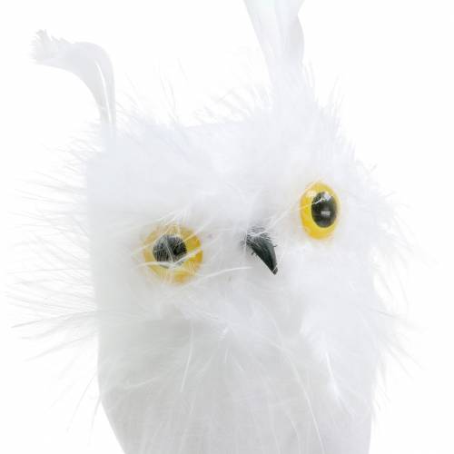 Floristik24 Bouchon décoratif hibou blanc 10cm 2pcs