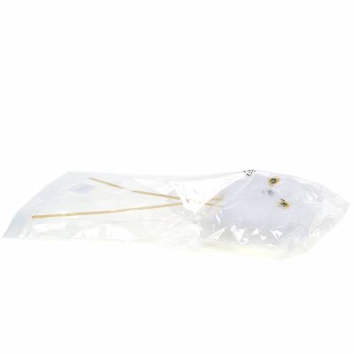 Floristik24 Bouchon décoratif hibou blanc 10cm 2pcs