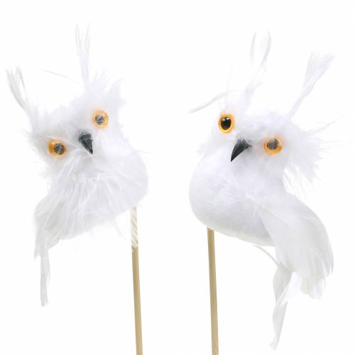 Floristik24 Fiche Deco Hibou Blanc 5cm 4pcs