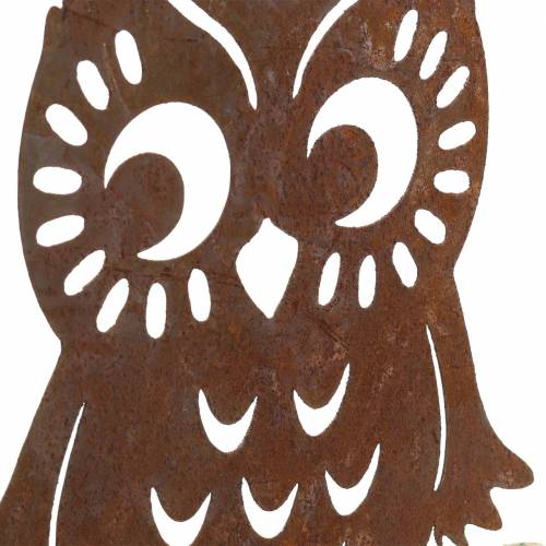 Floristik24 Chouette patine sur tronc de bouleau 18cm x 17cm