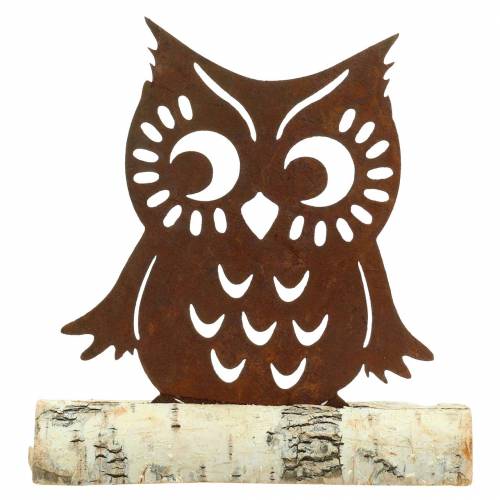 Floristik24 Chouette patine sur tronc de bouleau 18cm x 17cm