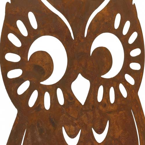 Floristik24 Chouette patine sur tronc de bouleau 42cm x 36cm