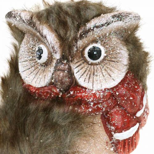 Floristik24 Chouette décorative en céramique avec écharpe figurines décoratives hiver H15cm 2 pcs