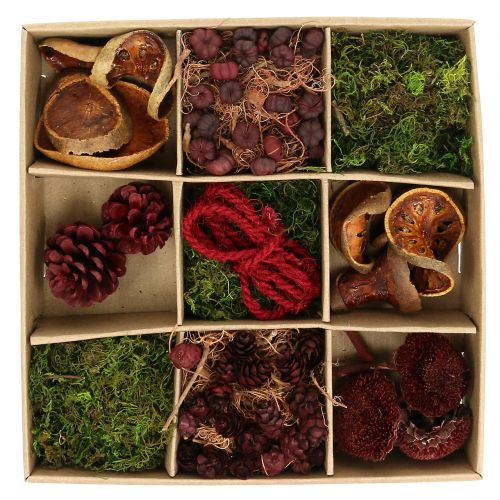 Floristik24 Ensemble d&#39;artisanat de mélange exotique