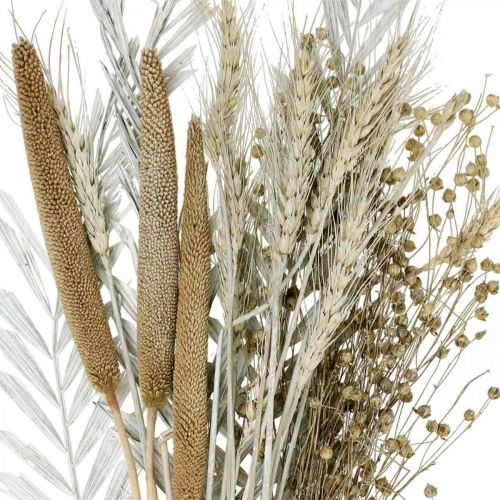 Floristik24 Coffret DIY Fleurs Séchées Bouquet Sec Exotique Blanc, Naturel H55cm