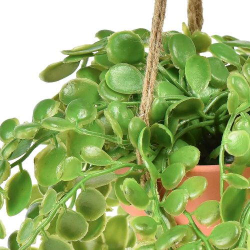 Article Plantes succulentes artificielles en pot Sedum panier suspendu 34cm