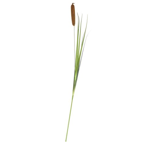 Floristik24 Plantes artificielles, quenouilles artificielles, décoration en roseaux 92cm