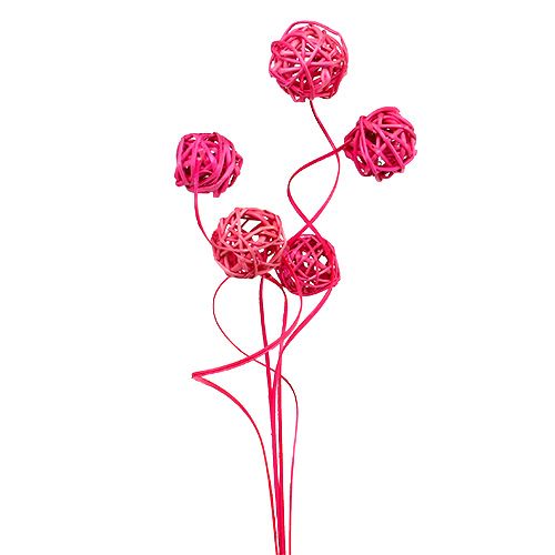 Floristik24 Fancy Ting Ting rose 25 pcs