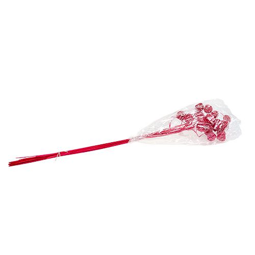 Floristik24 Fancy Ting Ting rose 25 pcs