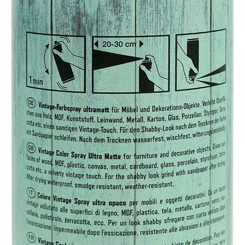 Floristik24 Spray Couleur Vert Vintage 400ml