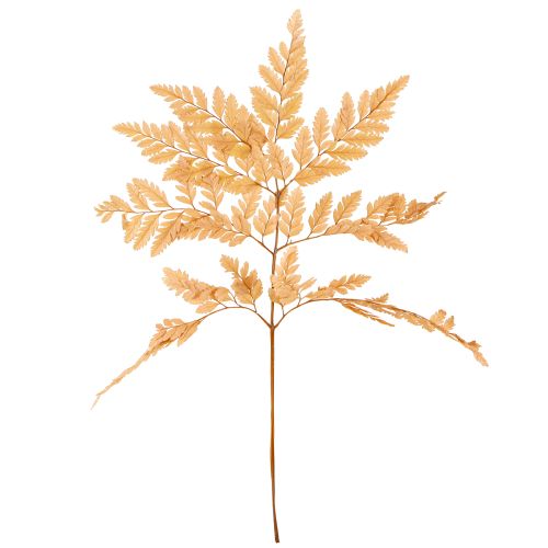 Article Décoration de fougère Vraies frondes de fougère orange préservées 45 cm 10 pièces