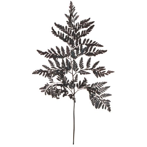 Article Décoration de fougère Vraies frondes de fougère noires préservées 45 cm 10 pièces