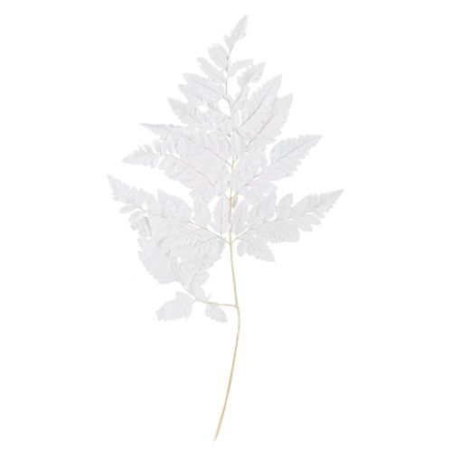 Article Décoration de fougère Vraies frondes de fougère blanches préservées 45 cm 10 pièces