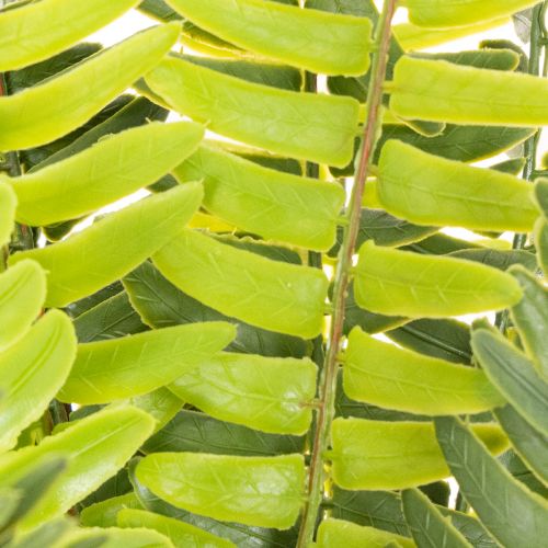 Branche de fougère artificielle, plante verte artificielle décorative, 45 cm | Floristik24.be
