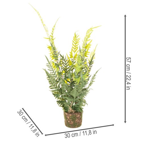 Fougère artificielle avec motte de racines, idéale pour la décoration de la maison et du bureau, 57 cm | Floristik24.be