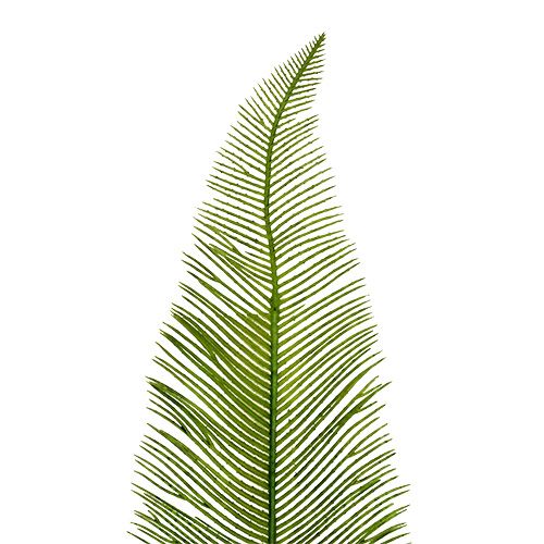 Floristik24 Feuilles de fougère vertes 59 cm 6 p.