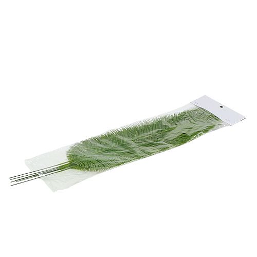 Floristik24 Feuilles de fougère vertes 59 cm 6 p.