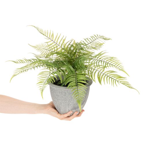 Fougère artificielle en pot pour salon et bureau, 35 cm | Floristik24.be