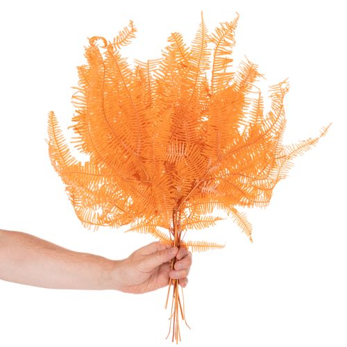 Branche de fougère séchée, 60 cm, lot de 10. | Floristik24.be