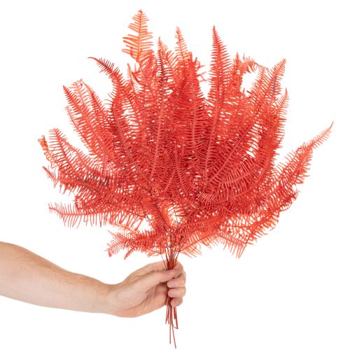 Fougères, fleurs séchées et préservées, décoration d'automne, 60 cm, 10 pièces | Floristik24.be
