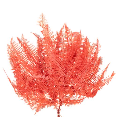 Fougères, fleurs séchées et préservées, décoration d'automne, 60 cm, 10 pièces | Floristik24.be