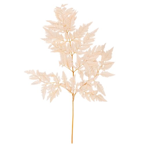 Fougère séchée décorative pour vase 42 cm, lot de 10 acheter | Floristik24.be