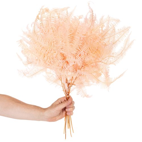 Frondes de fougère séchées, décoration de fougère pour vases, 60 cm, lot de 10 | Floristik24.be