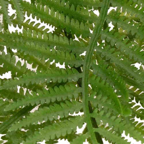 Branche de fougère artificielle, plante verte décorative pour compositions florales, 80 cm | Floristik24.be