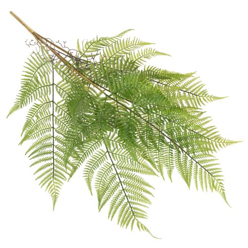 Branche de fougère artificielle, plante verte décorative pour compositions florales, 80 cm | Floristik24.be