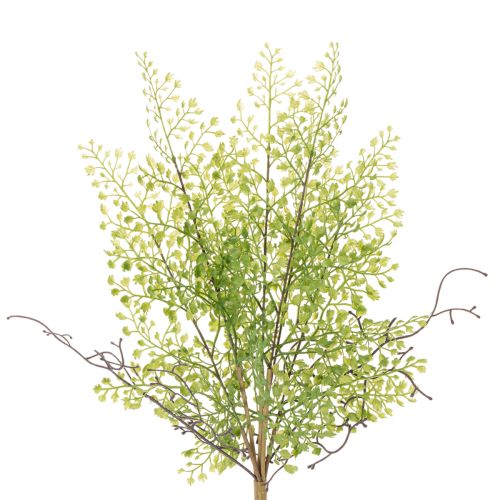 Branche de ruscus artificielle verte pour décoration florale, 41 cm acheter | Floristik24.be
