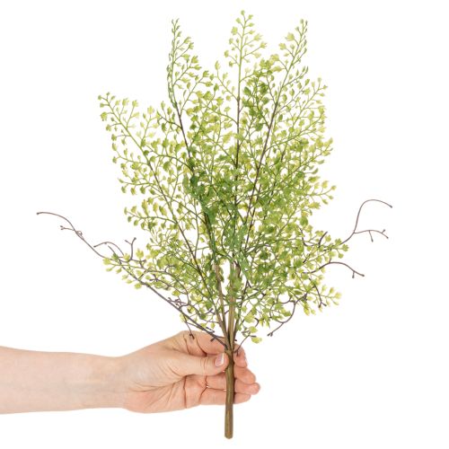 Branche de ruscus artificielle verte pour décoration florale, 41 cm | Floristik24.be